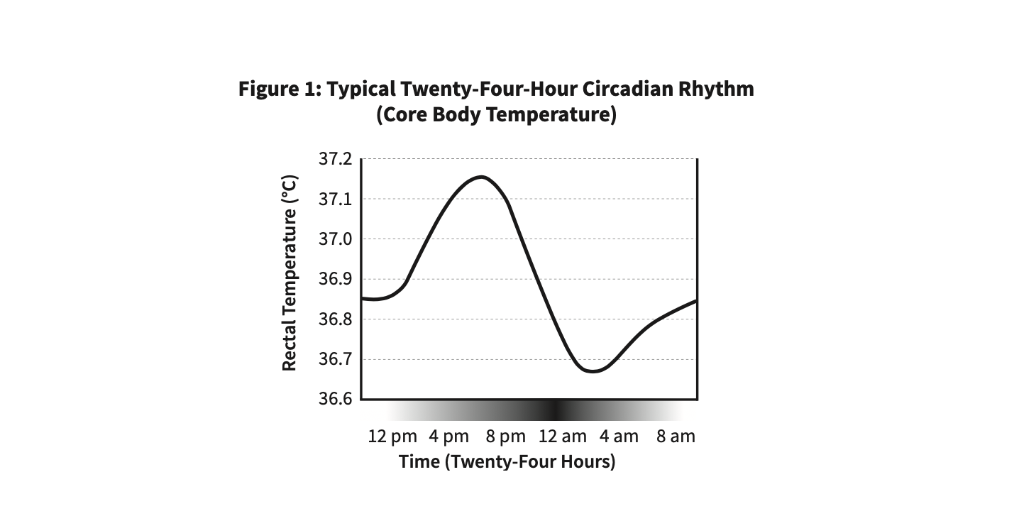 Why We Sleep — circadian rhythm