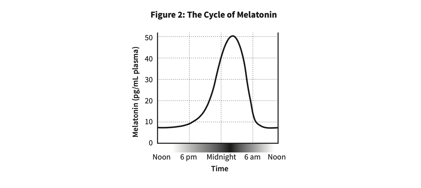 Why We Sleep — melatonin cycle