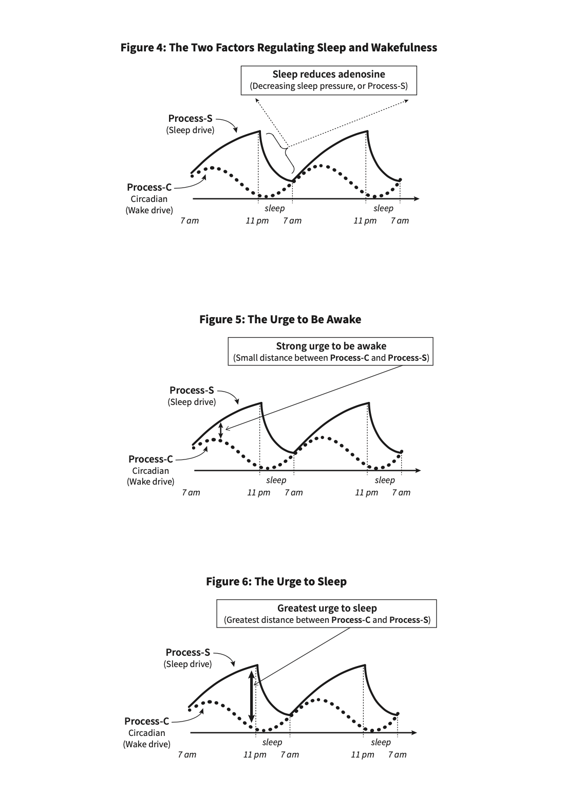 Why We Sleep — sleep pressure and the circadian rhythm